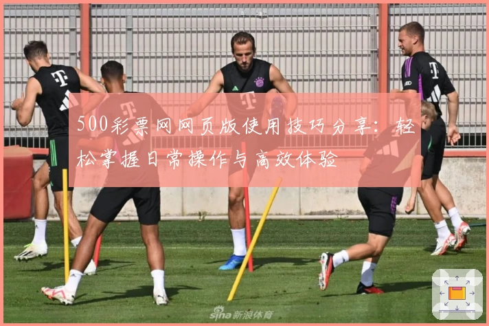 500彩票网网页版使用技巧分享:轻松掌握日常操作与高效体验